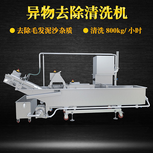環(huán)速商用果蔬清洗機，氣泡清洗，清洗800kg小時