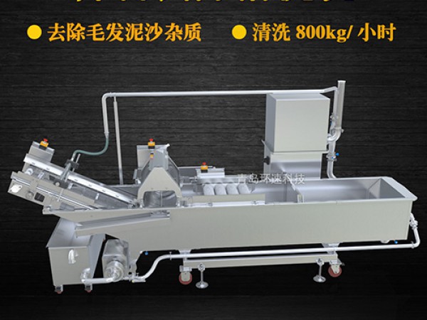 蔬菜清洗機(jī)，氣泡清洗，清洗800kg/小時(shí)